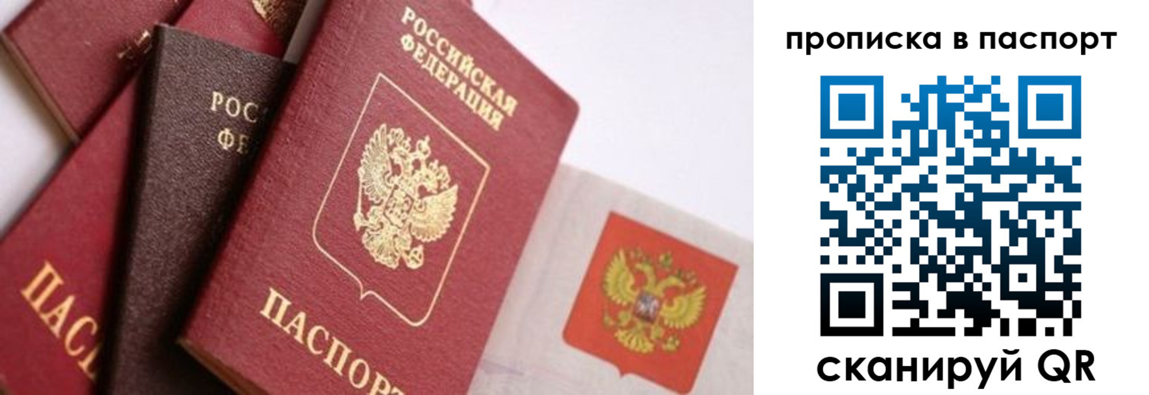 прописка штамп в Жукове